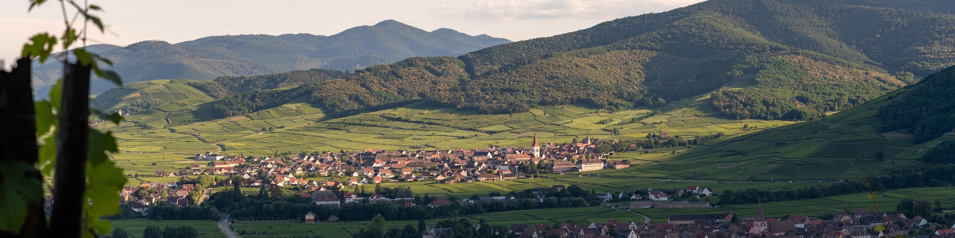 Ammerschwihr au pied des collines sous-vosgiennes