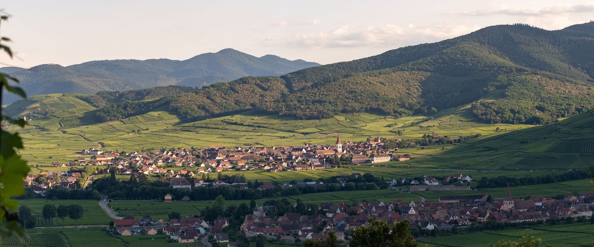 A town nestled in a valley with vineyards and mountains in the background.