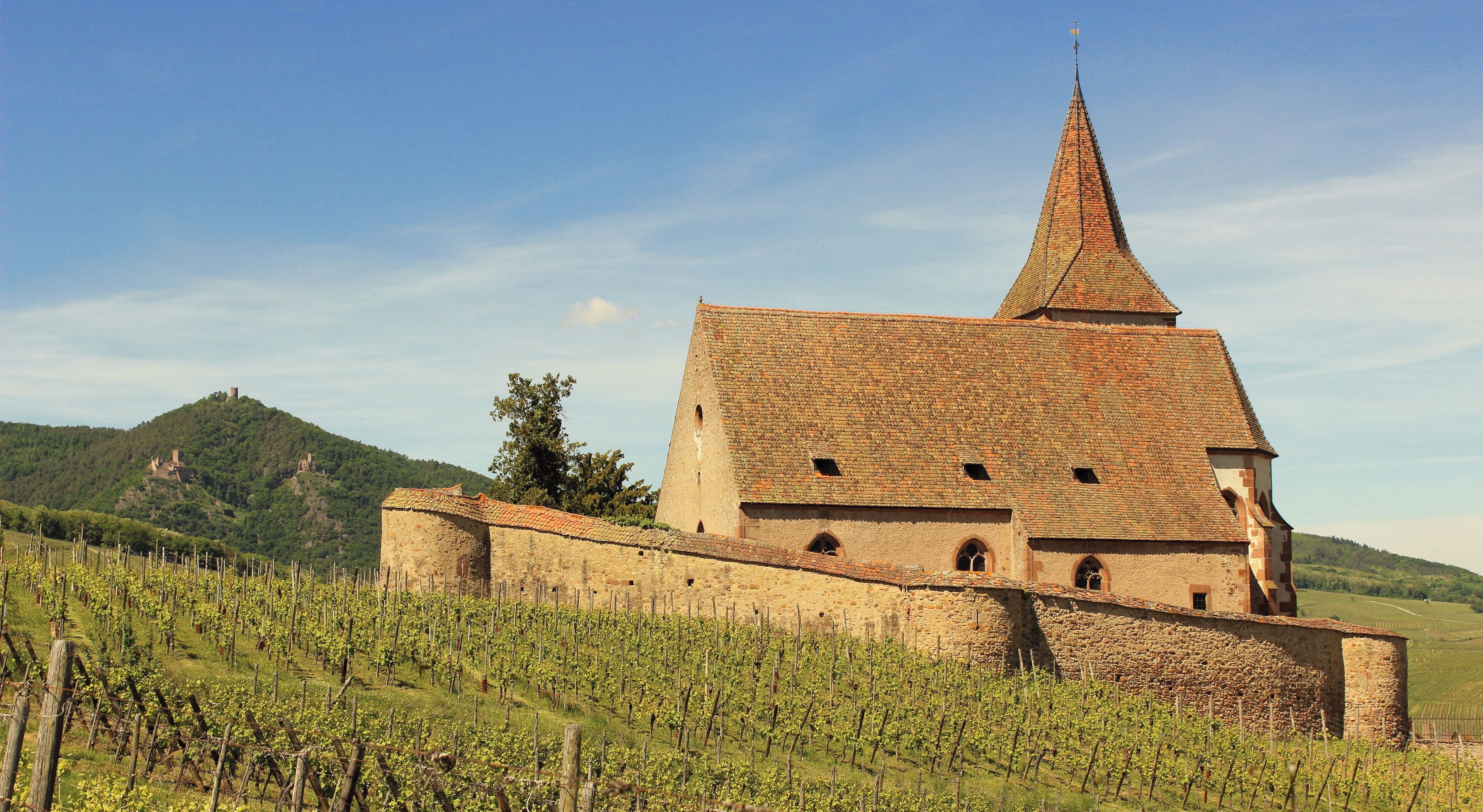 2017-05-21-15-21-42_Les Forts Trotters_au Sentier des Grands Crus