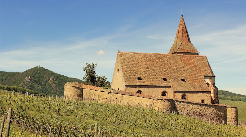 2017-05-21-15-21-42_Les Forts Trotters_au Sentier des Grands Crus