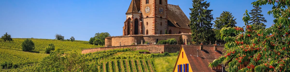 Mixed Protestant and Catholic Church of Saint Jacques le Majeur and grape vines at a vineyard, Hunawihr, a village on the Alsatian Wine Route, France