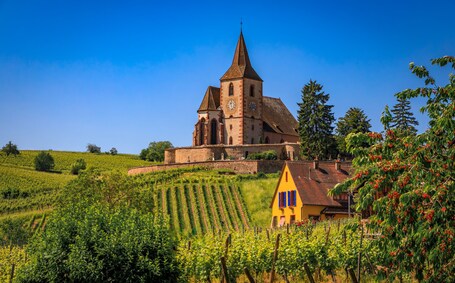 Eine Kirche mit einem hohen Kirchturm, Weinbergen und einem gelben Haus.