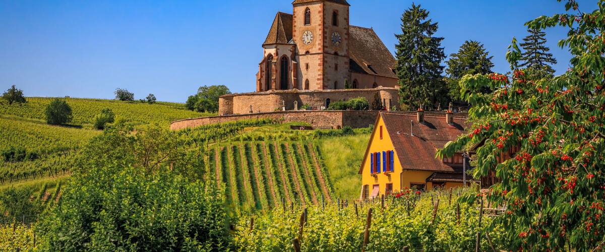 A church with a tall spire, vineyards, and a yellow house.