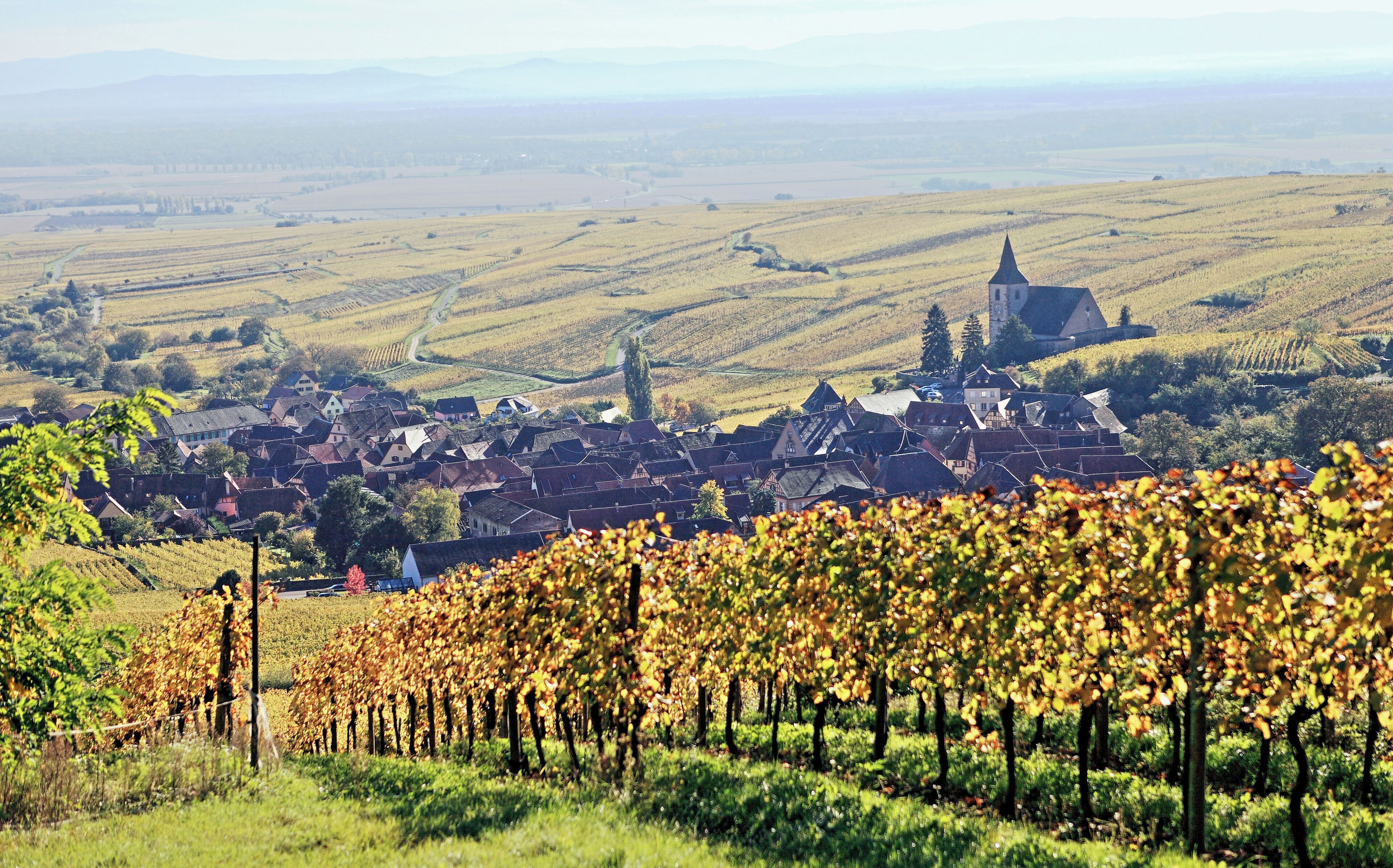 Après les vendanges