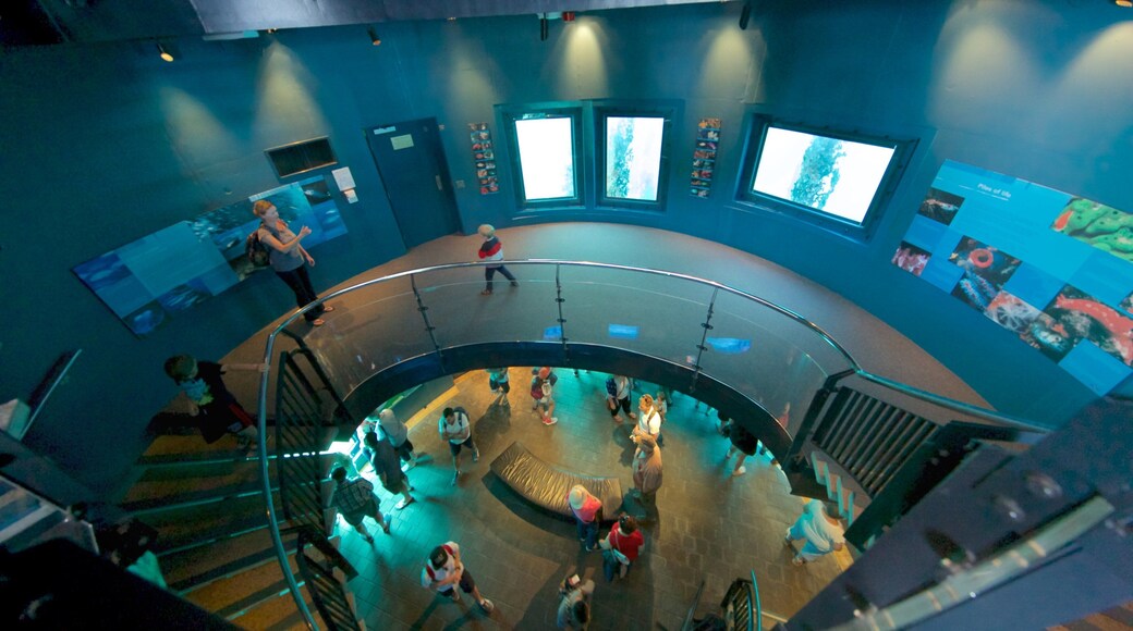 Busselton Jetty Underwater Observatory bevat interieur