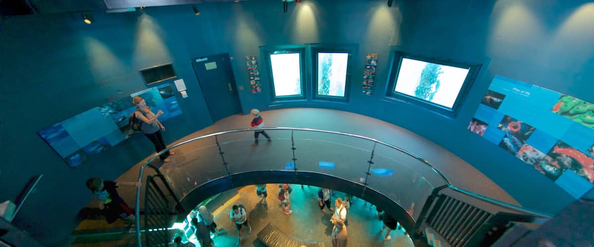 Busselton Jetty Underwater Observatory welches beinhaltet Innenansichten