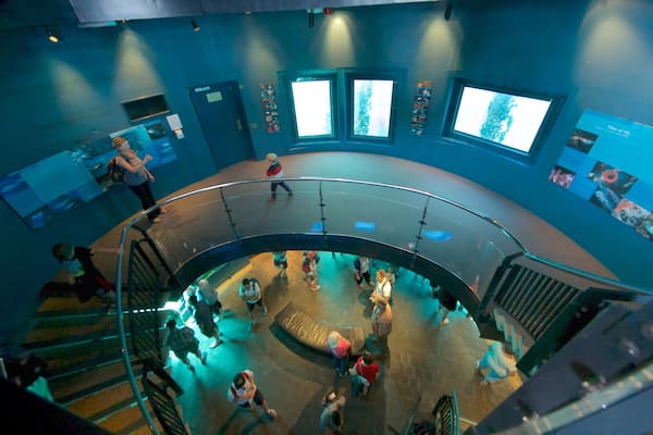 Observatoire sous-marin de Busselton Jetty montrant vues intérieures