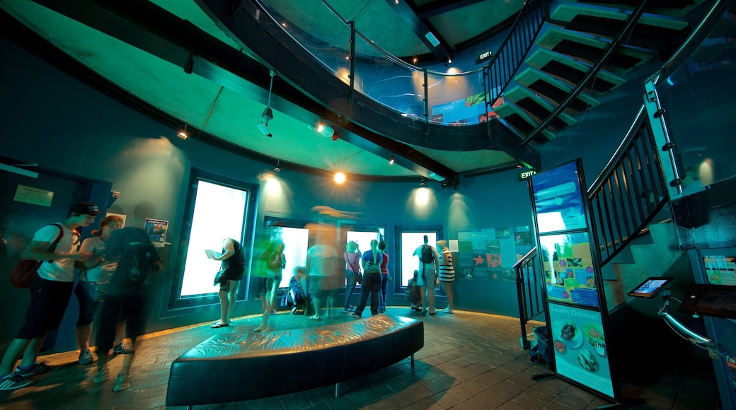 Busselton Jetty Underwater Observatory which includes marine life and interior views as well as a small group of people