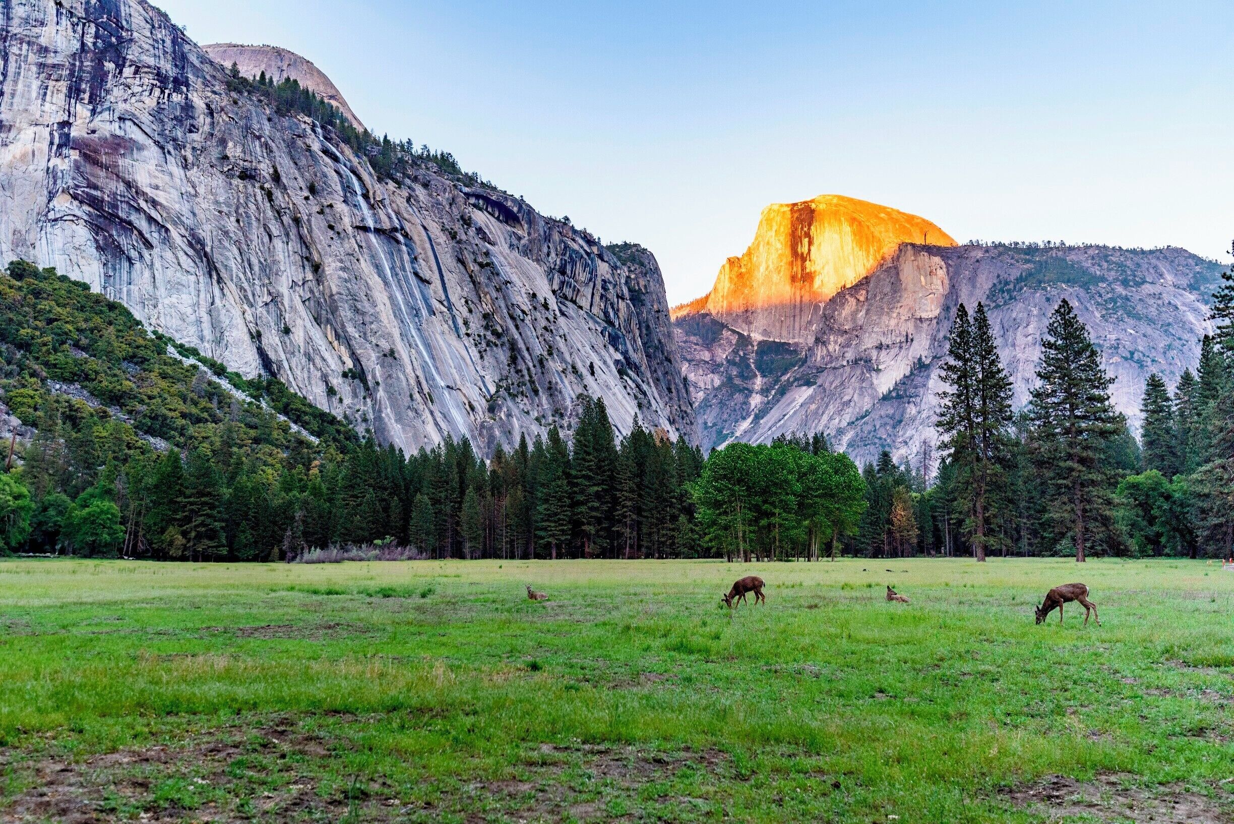 Golden Half Dome at Sunset - Yosemite National Park