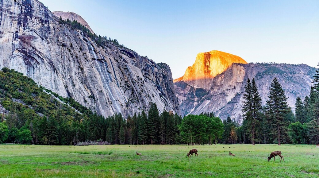 Golden Half Dome at Sunset - Yosemite National Park