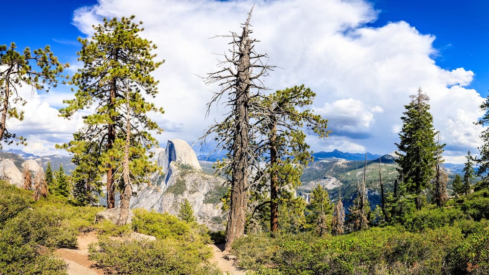 A forested mountain landscape with a clear sky.