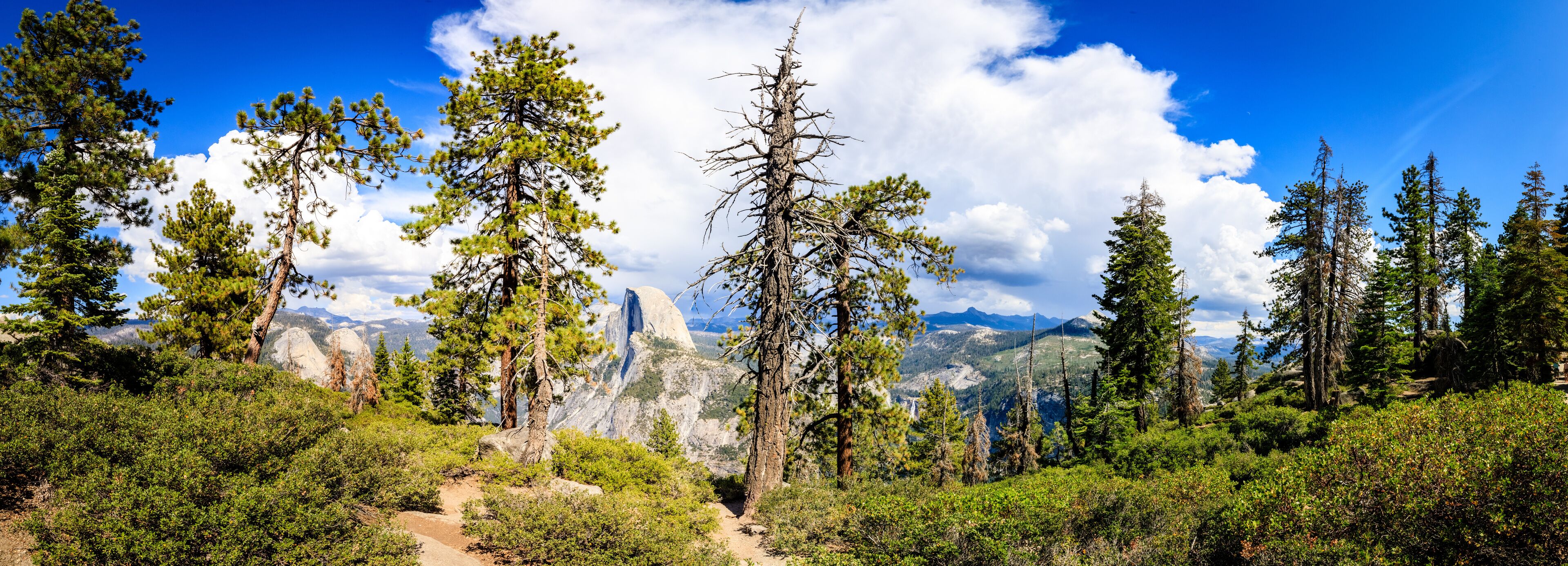 A forested mountain landscape with a clear sky.