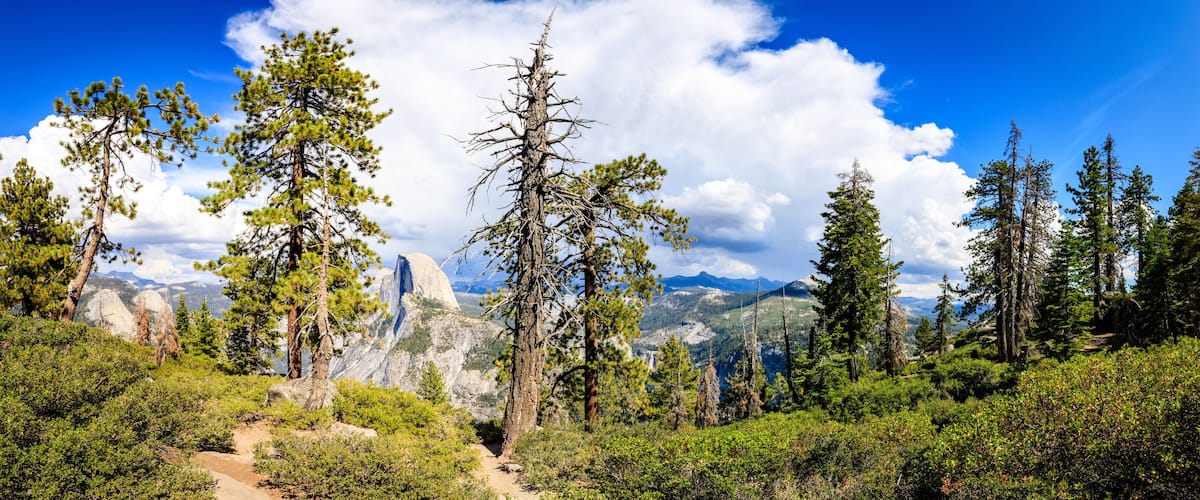 A forested mountain landscape with a clear sky.