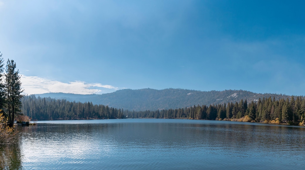 Hume