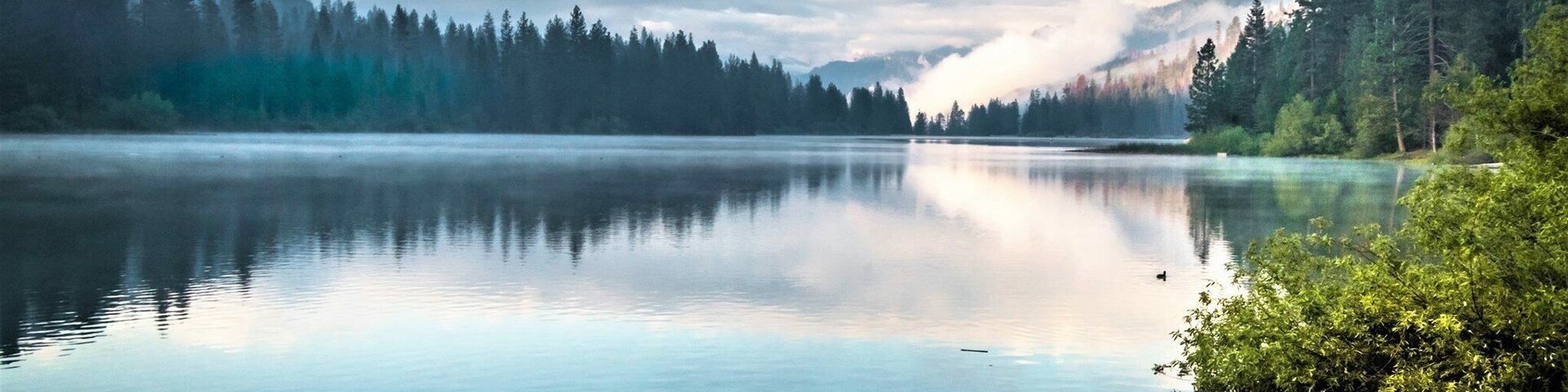 Incredible view from the shores of Hume Lake