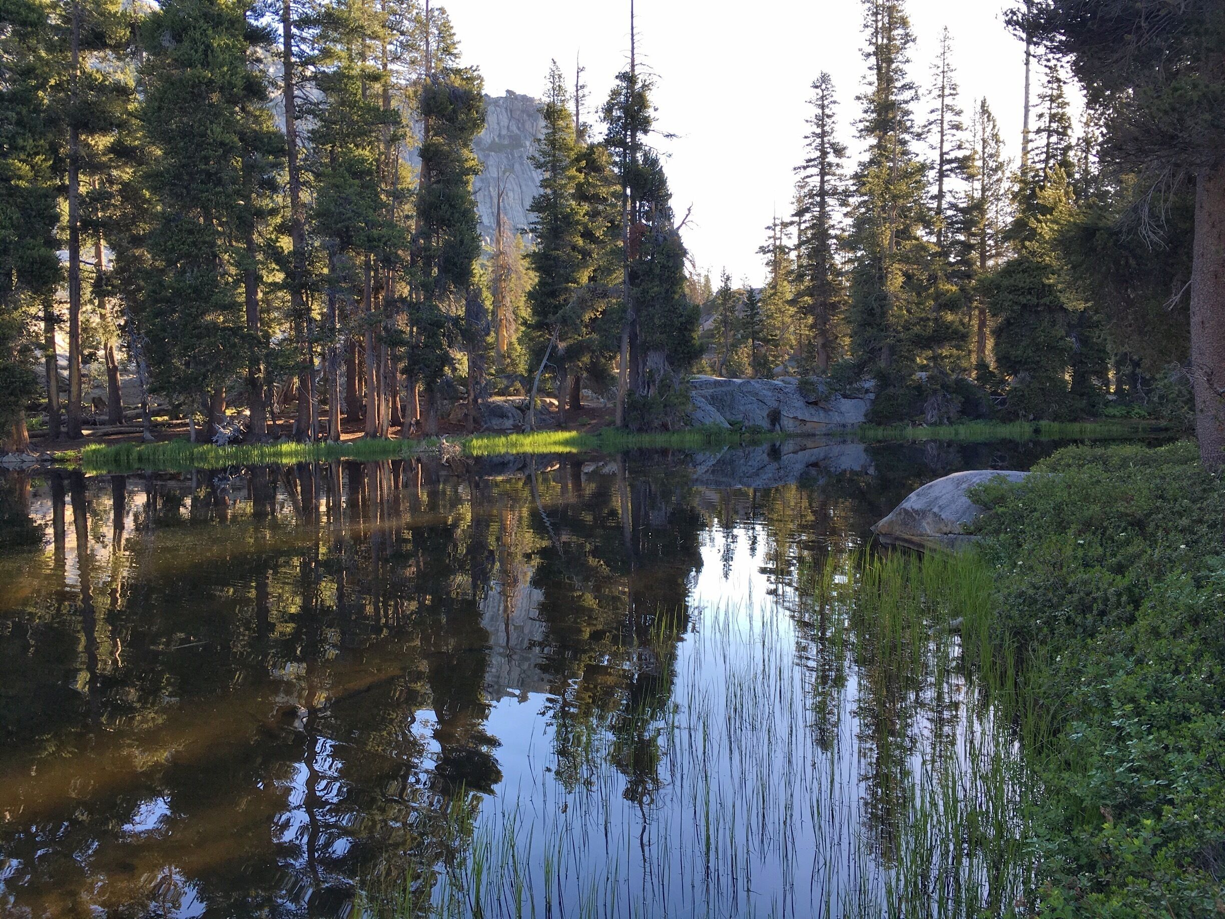 A calm lake surrounded by tall pine trees and a rocky outcrop.