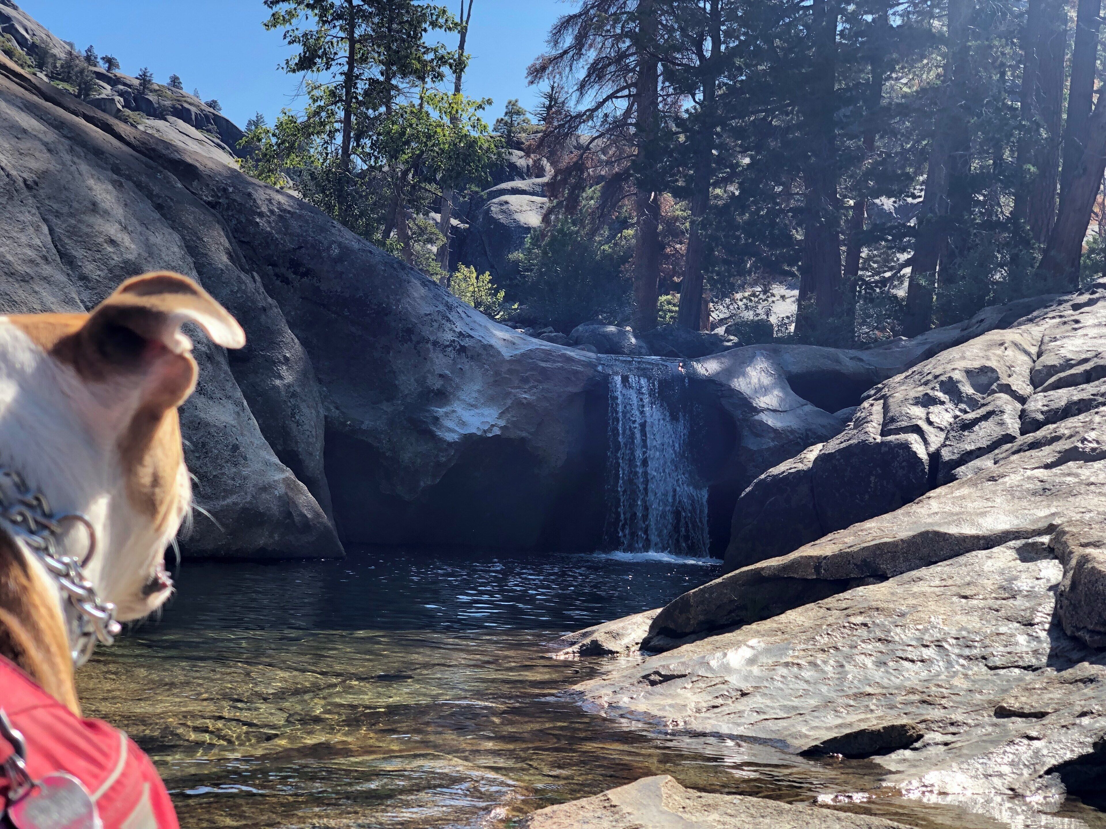 Cleo’s Bath off of Pinecrest Lake trail #adventure