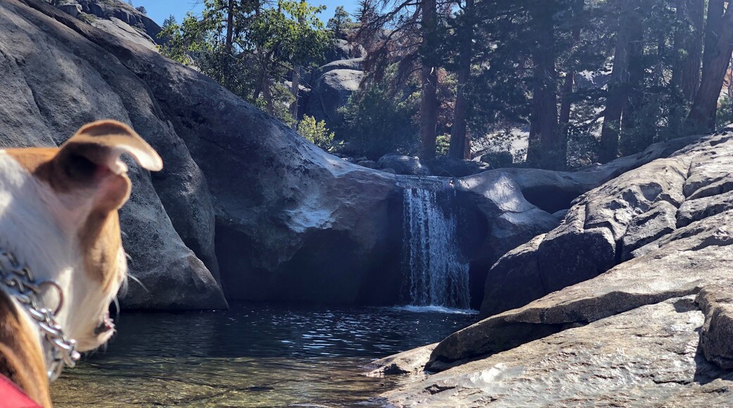 Cleo’s Bath off of Pinecrest Lake trail #adventure