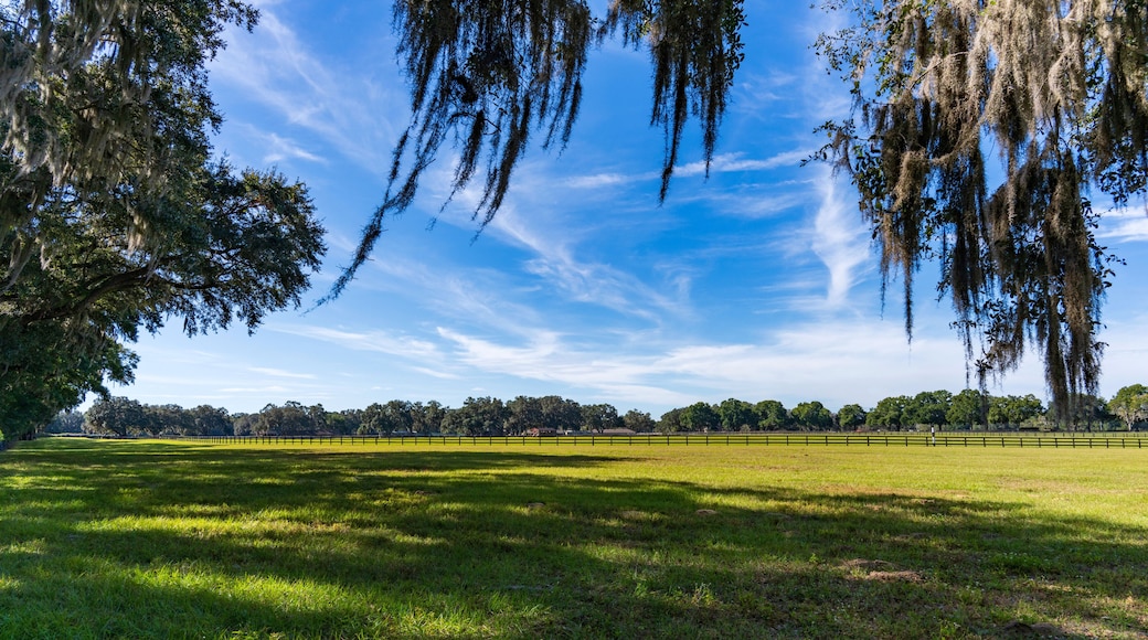 Beautiful Ocala horse ranch on a blue sky