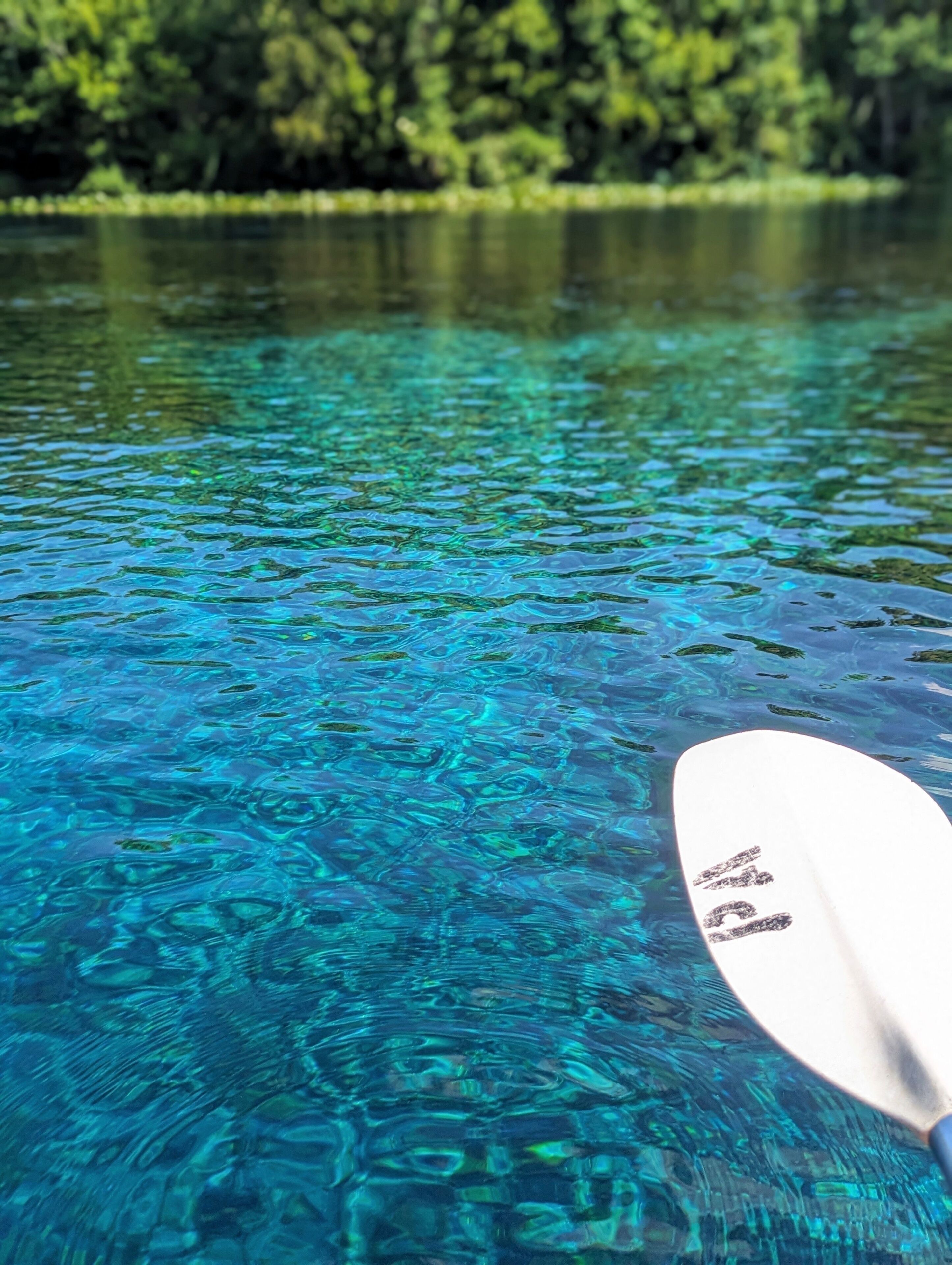 Um lago límpido com um remo em primeiro plano e uma margem arborizada ao fundo.