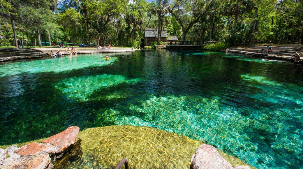 Ocala