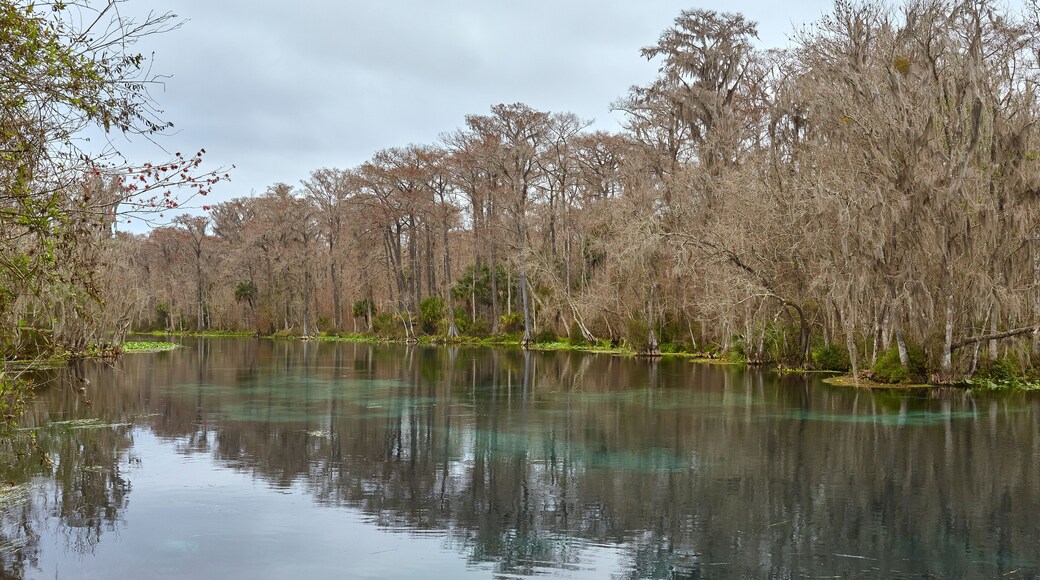 Ocala