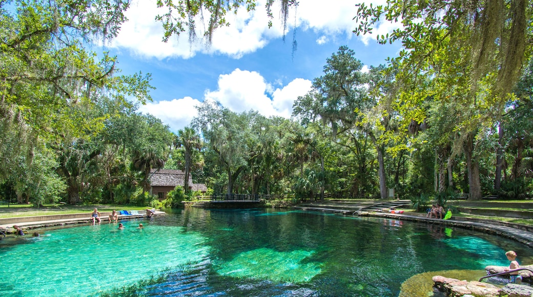 A family enjoying a cool dip in a natural fresh water springs swimming hole at Juniper Springs in Ocala national forest in central Florida, north of Orlando.