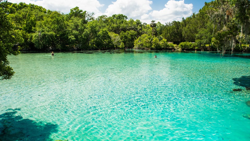 A clear turquoise water body surrounded by dense green foliage and trees.