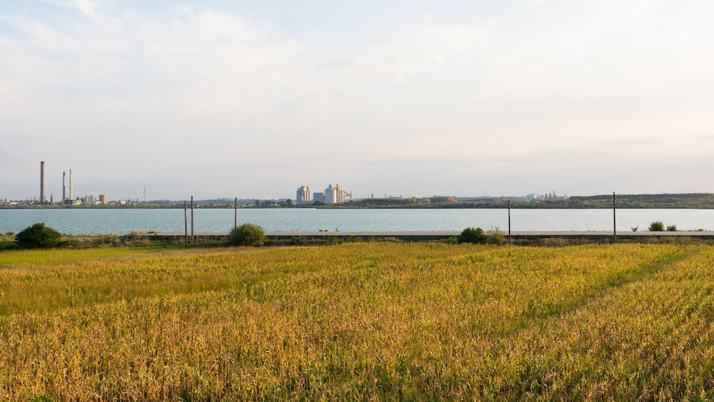 Ein Fluss mit Industriegebäuden im Hintergrund und einem Feld voller Pflanzen im Vordergrund.