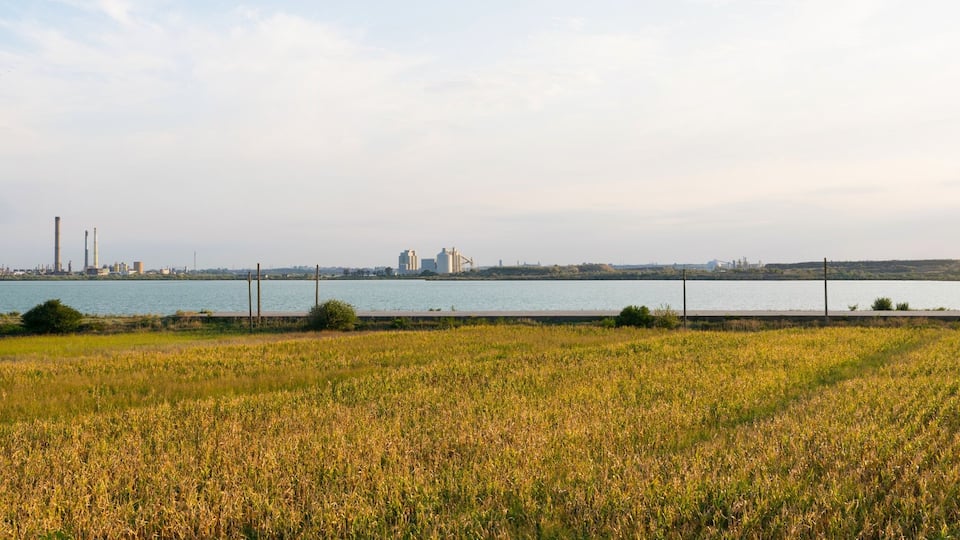 A river with industrial structures in the background and a field of crops in the foreground.