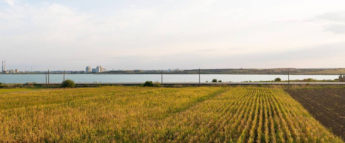 A river with industrial structures in the background and a field of crops in the foreground.