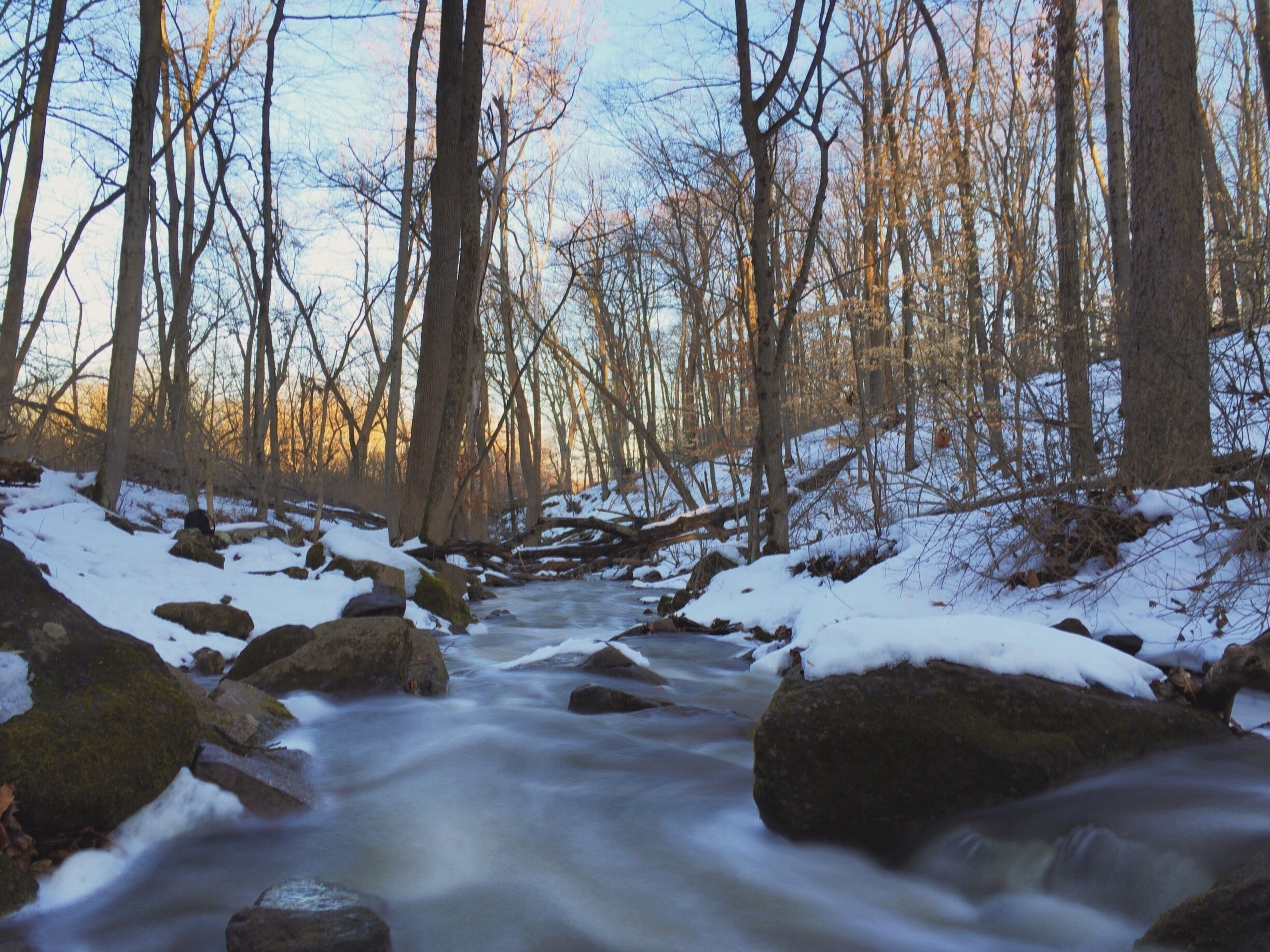 The great spring melt #snow #winter #melt #tylerstatepark #buckscounty #park #nature #creek #stream