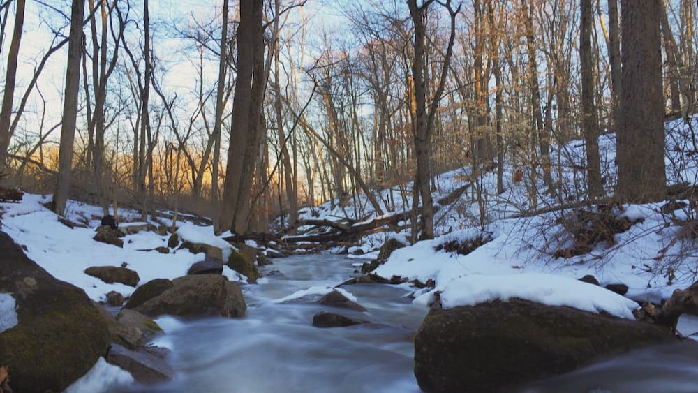 Une rivière aux eaux vives, bordée de rochers et d’arbres couverts de neige, au cœur d’une forêt.