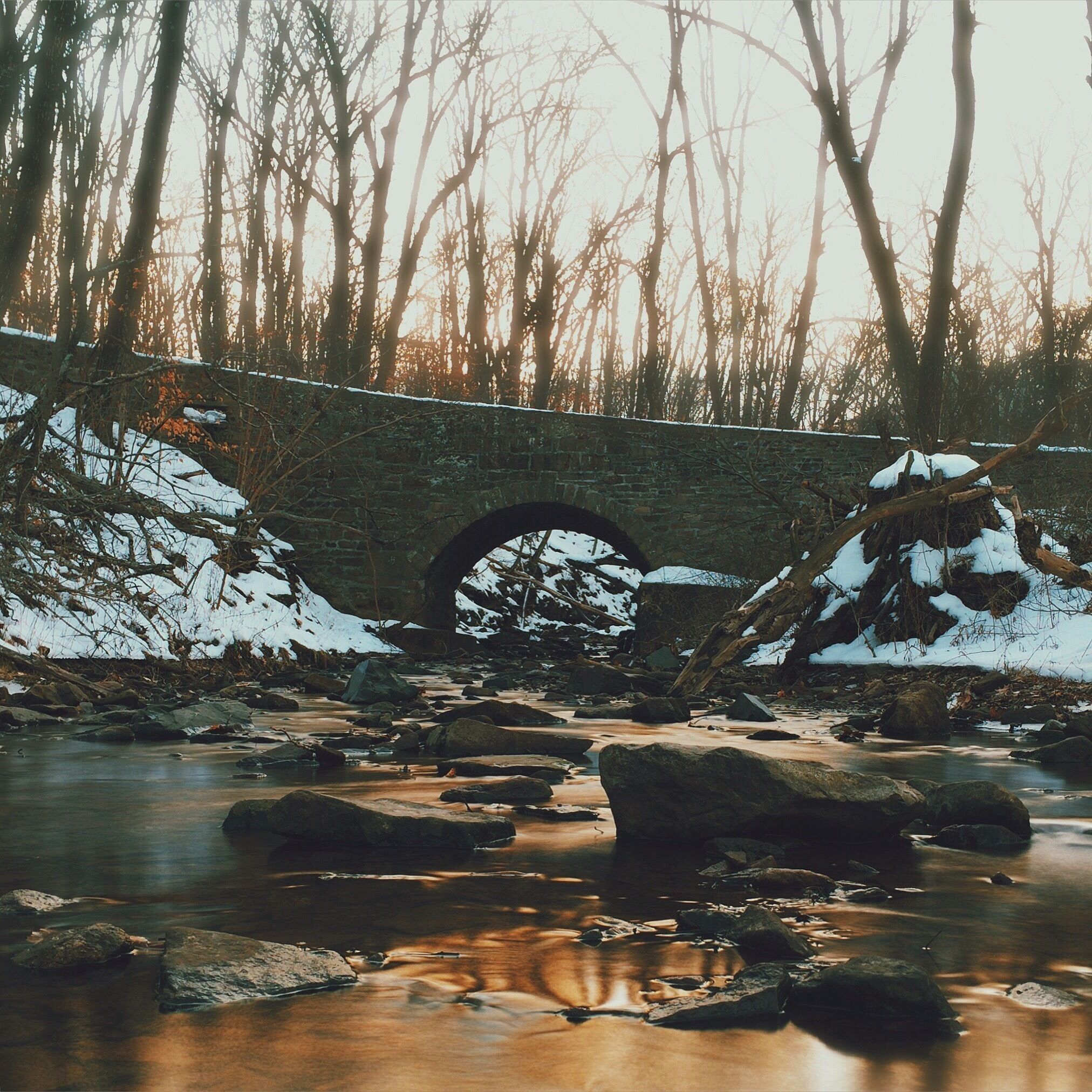 Golden Hour at Tyler State Park #snow #creek #buckscounty #nature #goldenhour