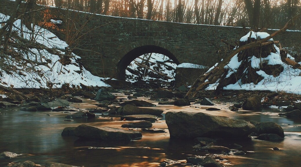 Golden Hour at Tyler State Park #snow #creek #buckscounty #nature #goldenhour