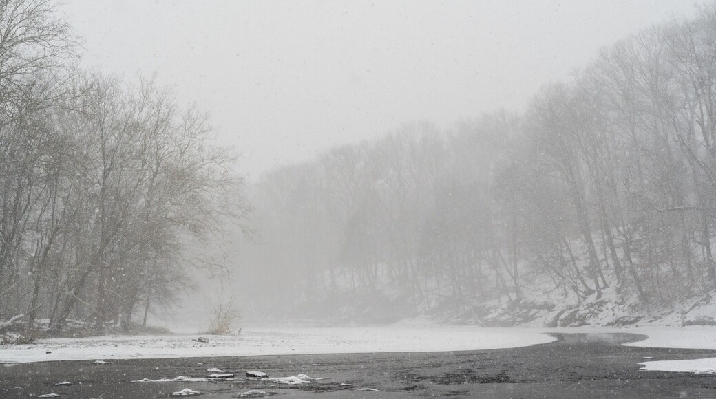 Caught in a snowstorm
#snow #snowstorm #winter #nature #creek #stream #buckscounty