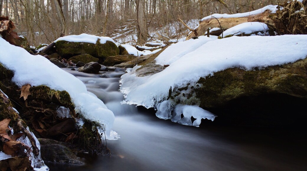 Little frozen creek #snow #tylerstatepark #buckscounty #nature #creek #stateparks #park
