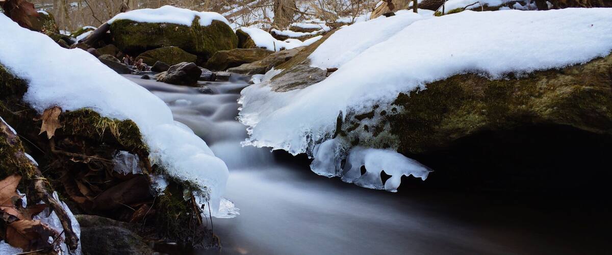 Little frozen creek #snow #tylerstatepark #buckscounty #nature #creek #stateparks #park