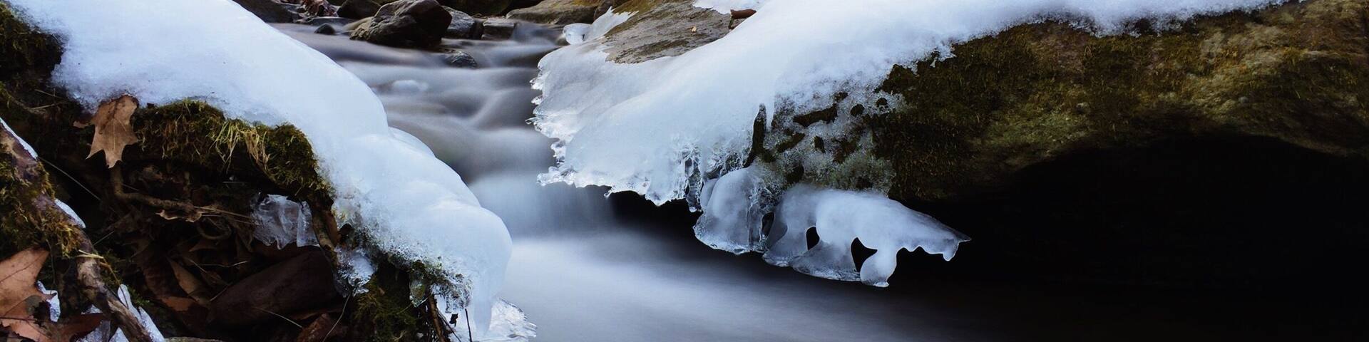 Little frozen creek #snow #tylerstatepark #buckscounty #nature #creek #stateparks #park