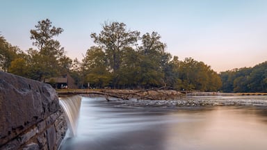 Late Afternoon
#buckscounty #park #tylerstatepark #newtown #pa #Pennsylvania #waterscape #stream #creek #summer