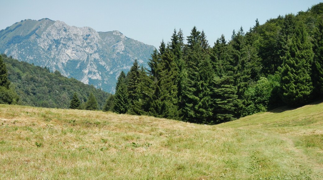 Abwärts vom Passo Guil nach Prè-Leano
