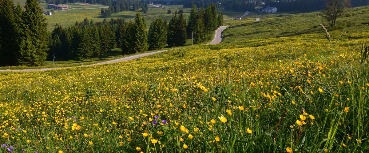 Monti Tremalzo e Tombea (Q47486355)