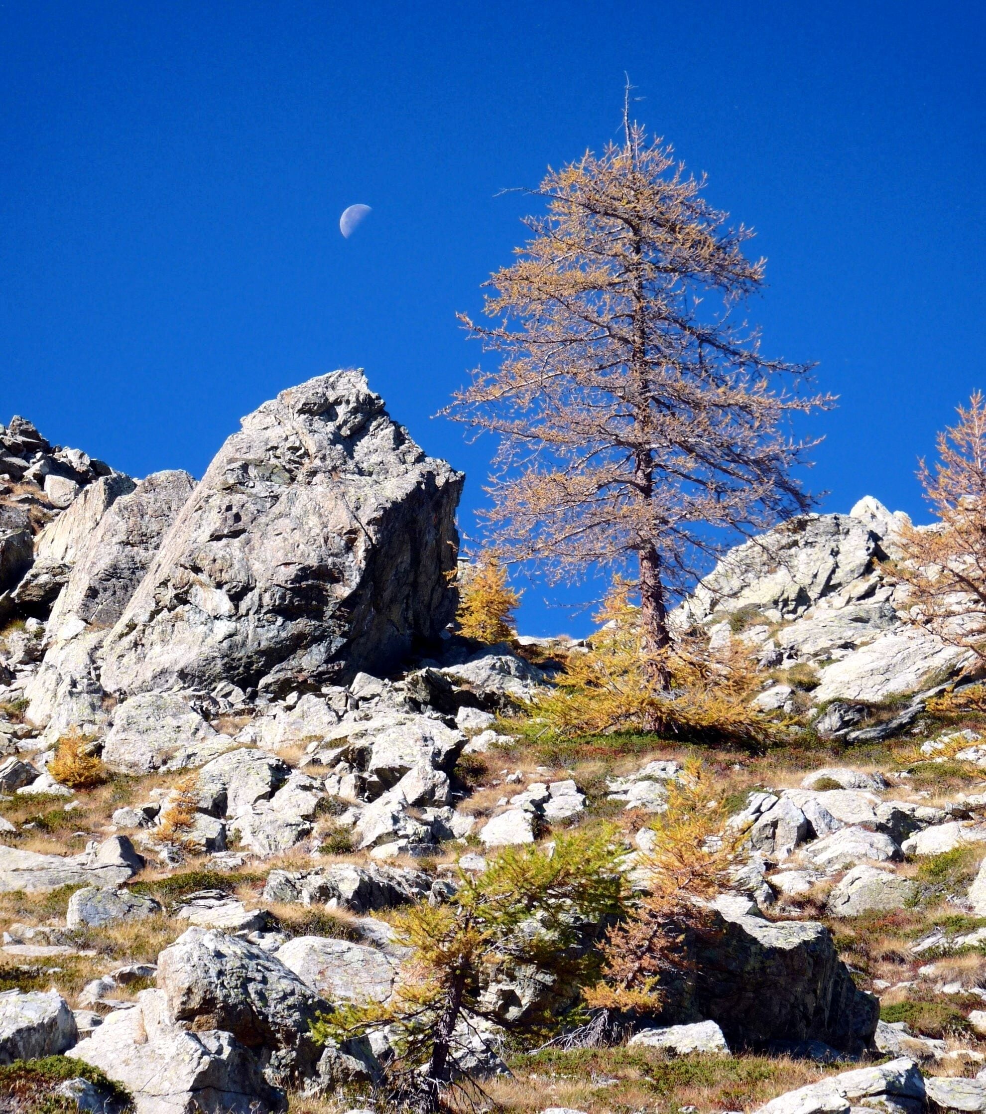 On the way to the Lac de Vercoche, Valle d'Aosta