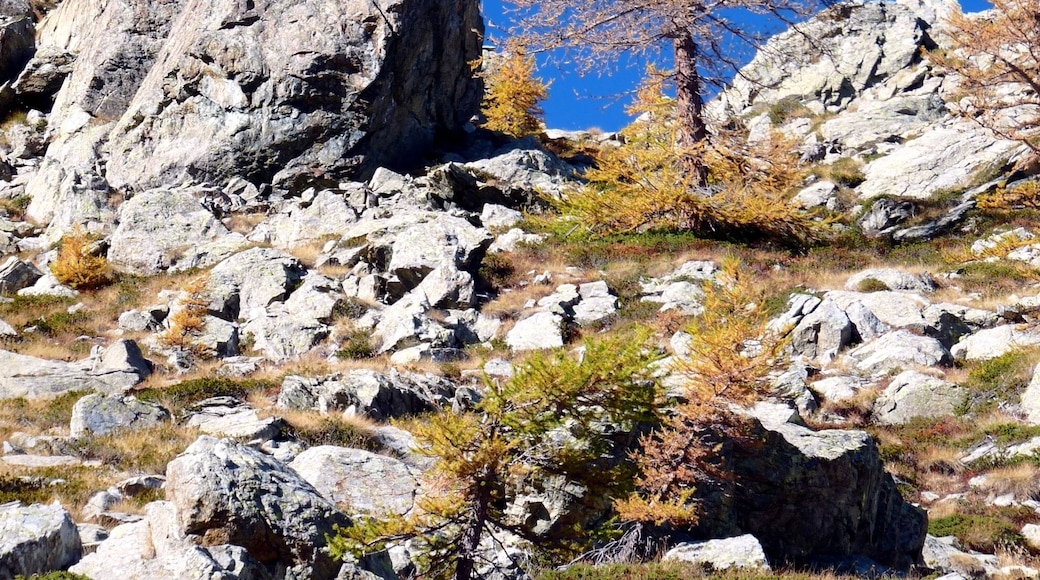 On the way to the Lac de Vercoche, Valle d'Aosta