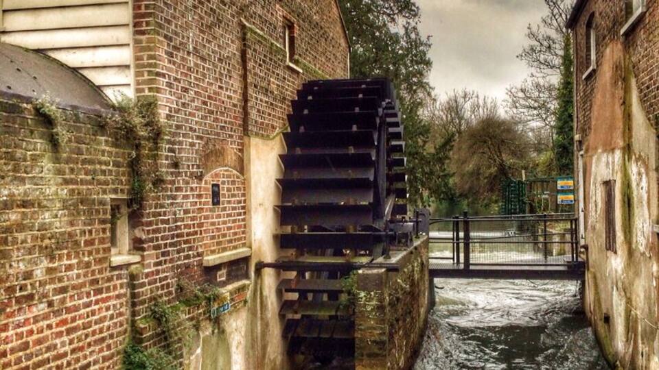 The old mill in Morden Hall Park, London. A National Trust property with a great little cafe.