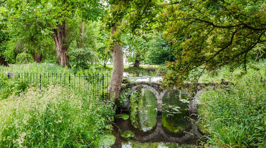Un pont de pedra sobre un riu tranquil, envoltat de vegetació exuberant i arbres.