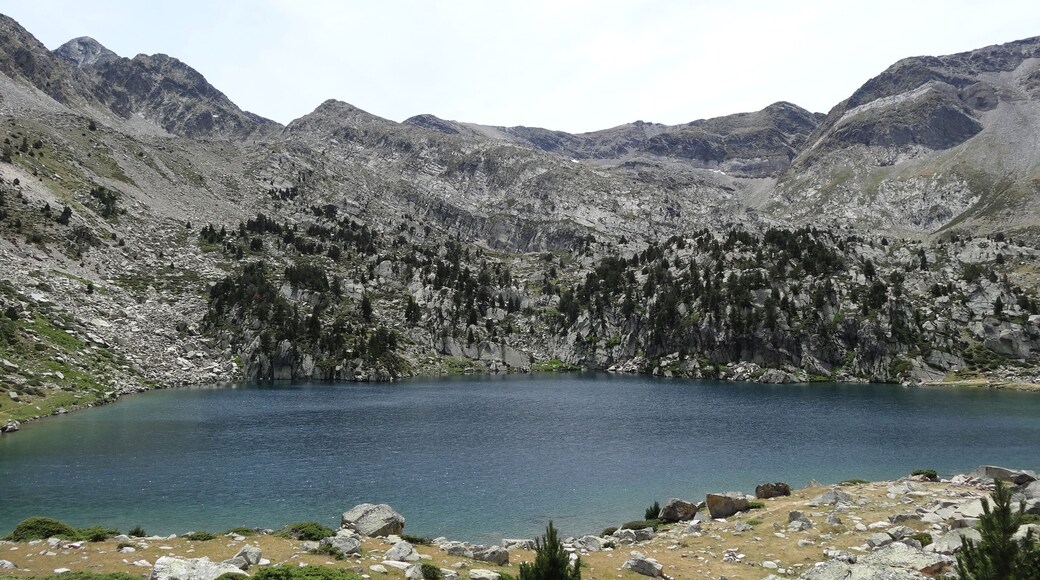 Estany de les Truites al Circ de Carançà (juliol 2012)