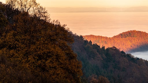 Mer de nuages sur la la plaine d'Alsace vu depuis Labaroche