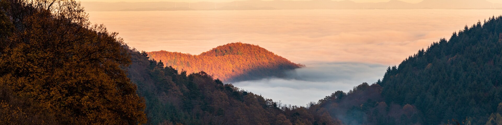 Mer de nuages sur la la plaine d'Alsace vu depuis Labaroche