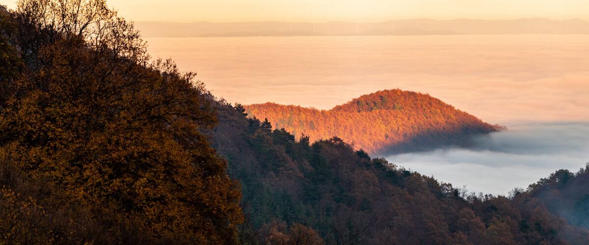 A mountainous landscape with a forested valley and a body of water below.